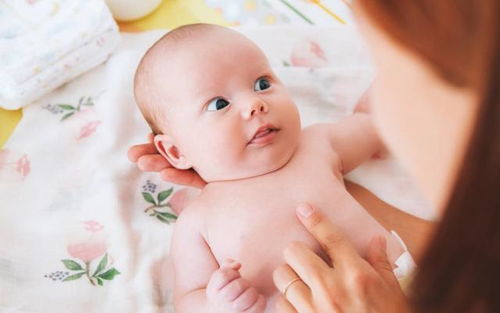 快穿之攻略前夫男友h