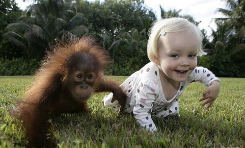 泰国三代试管婴儿费用构成一共怎样的多少钱