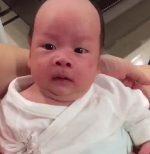 美国试管婴儿当月移植仅需5万 真相 美国试管婴儿当月移植仅需5万 真相