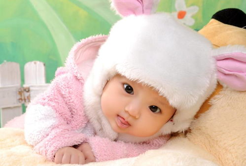 爱情公寓2全集免费版