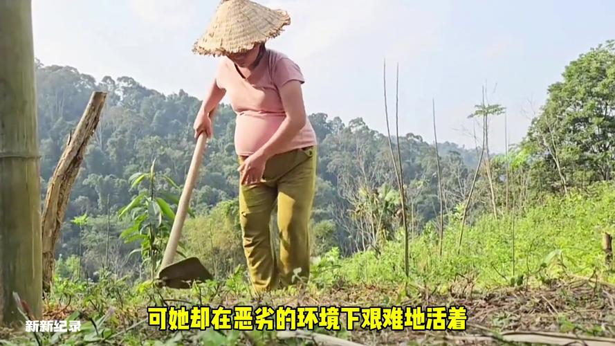 去泰国做三代试管婴儿的是什么