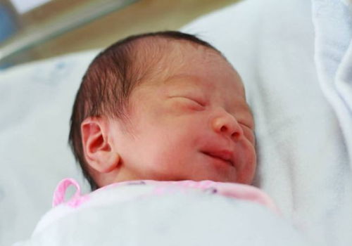 美国试管婴儿鲜胚移植与冻胚移植