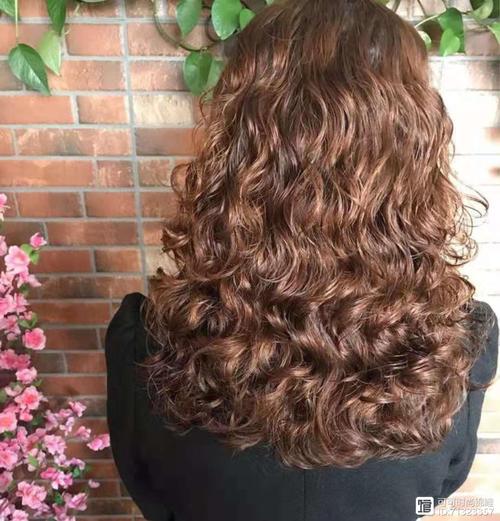 人工授精与试管婴儿的成功率是多少