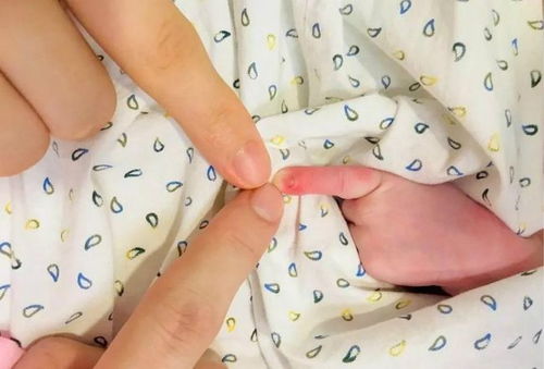 内蒙古三代试管婴儿得多少钱啊