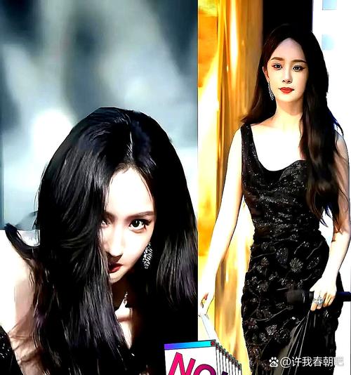 西门子整体厨房 西门子整体厨房