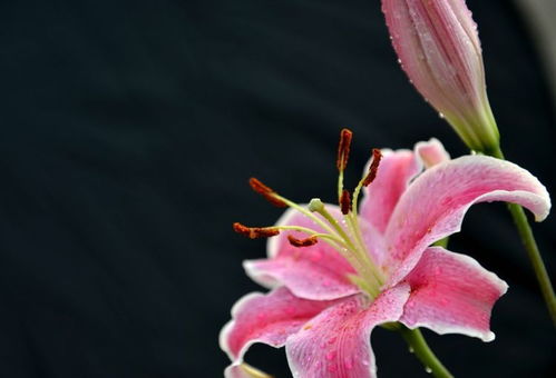 租房惊现摄像头