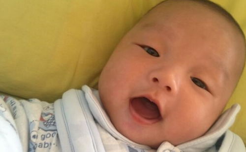 伊春市做试管婴儿的价格是多少