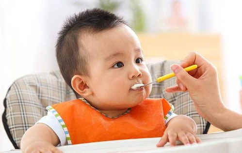 上海同济医院试管婴儿技术 成功率与经验 上海同济医院试管婴儿技术 成功率与经验