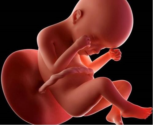 尼格买提牌没对上 尼格买提牌没对上