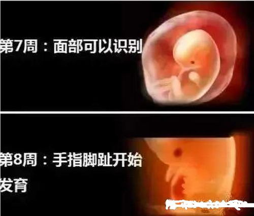 辽宁春晚2014小品 辽宁春晚2014小品