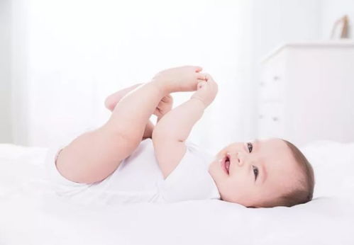 官方回应快本停播