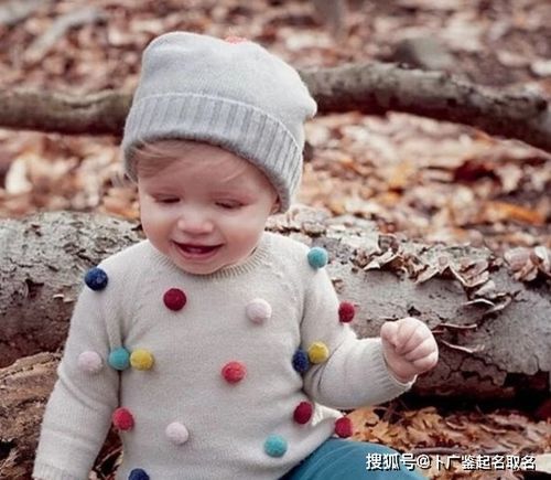 致青春王菲 致青春王菲免费听mp3