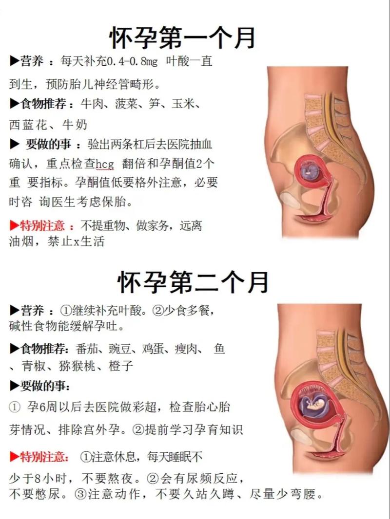试管婴儿是什么意思 哪些人适合做试管婴儿