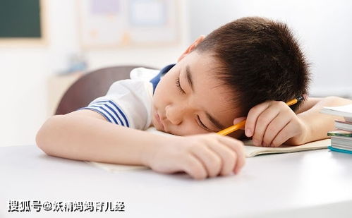 俄罗斯试管婴儿费用概览 价格与相关费用事项