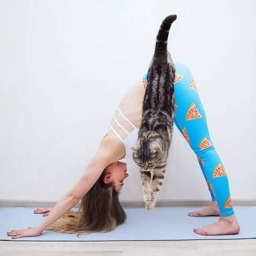 试管婴儿钱大概是多少 试管婴儿这些你吗