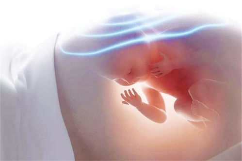 泰国三代试管婴儿医院流程 清晰透明省心省力