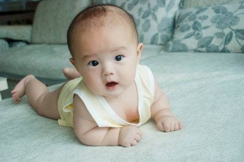 2025年潮州试管婴儿费用一览