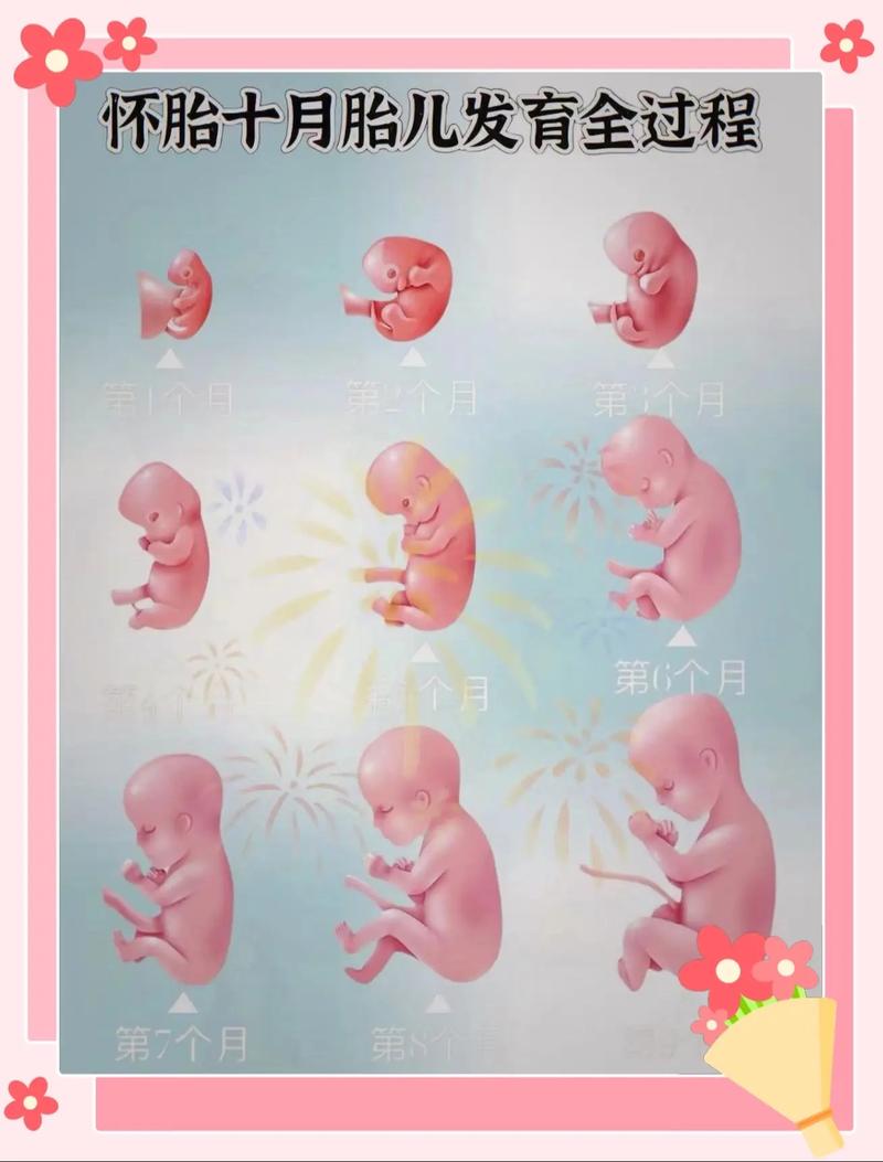 泰国试管婴儿新费用全掌握 泰国试管婴儿新费用全掌握