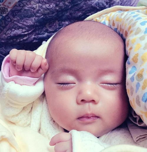 王曼昱身高及个人简介