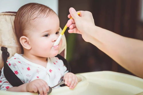 北京试管婴儿治疗费用概览 价格构成与 北京试管婴儿治疗费用概览 价格构成与