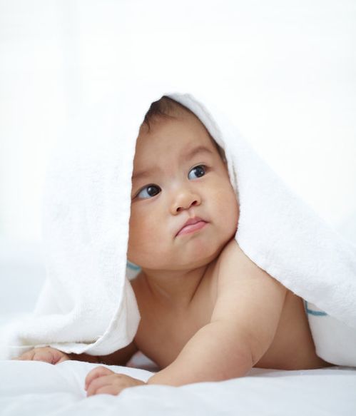 美国三代试管婴儿成功率 高成功率的背后因素 美国三代试管婴儿成功率 高成功率的背后因素