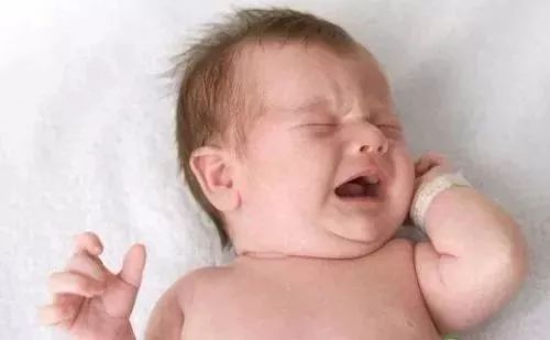 试管婴儿鲜胚胎好还是囊胚好 做双胞胎