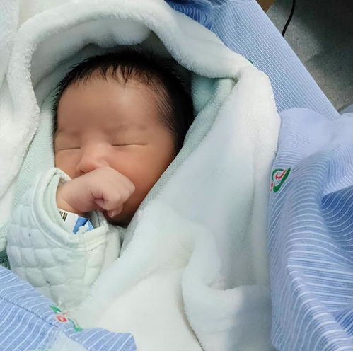 试管婴儿需要多少钱（试管婴儿费用大概要多少