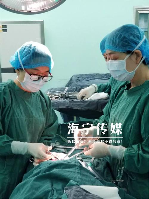 泰国第三代试管婴儿技术原理一览