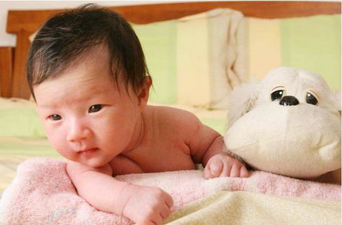 2025美国试管婴儿中心最新排名 CCRM与SCRC领跑行业