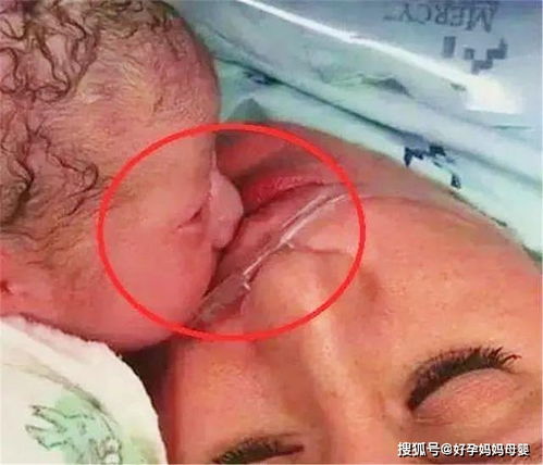 泰国试管婴儿厉害的医院有谁 泰国试管婴儿厉害的医院有谁