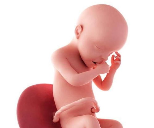 美国三代试管婴儿全费用 从医疗到生活 无忧指南