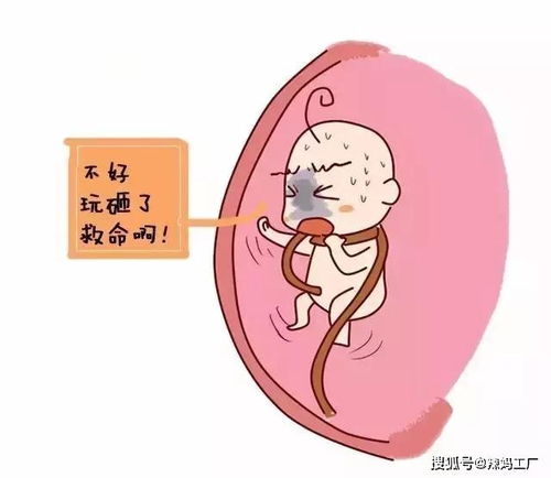 日本第3代试管婴儿成功率的关键数据及发展趋势