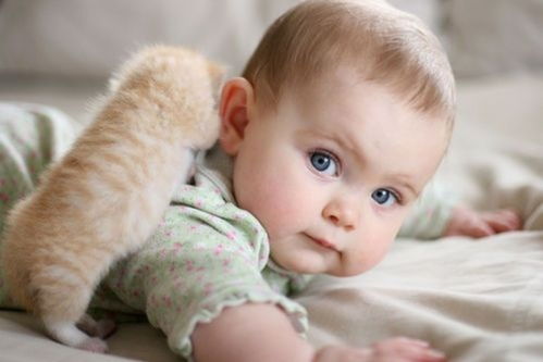 婴儿低烧原因引起的都有哪些因素 孩子经常发低烧是身体不好吗 婴儿低烧原因引起的都有哪些因素 孩子经常发低烧是身体不好吗