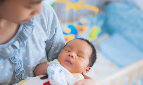 李颖电视剧 李颖电视剧成家立业 李颖电视剧 李颖电视剧成家立业