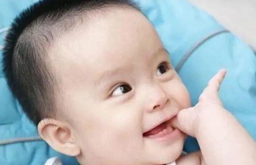 试管婴儿龙凤胎几率大吗 