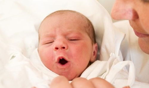 试管婴儿必须经过的这几道坎 