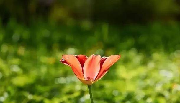 泰国试管婴儿第三代技术靠谱吗 泰国试管婴儿第三代技术靠谱吗