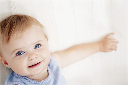 炒外汇模拟软件