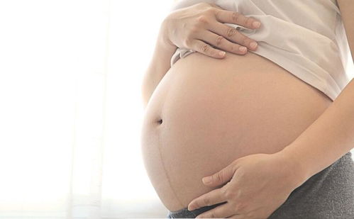 冯巩一个月退休金多少 冯巩一个月退休金多少