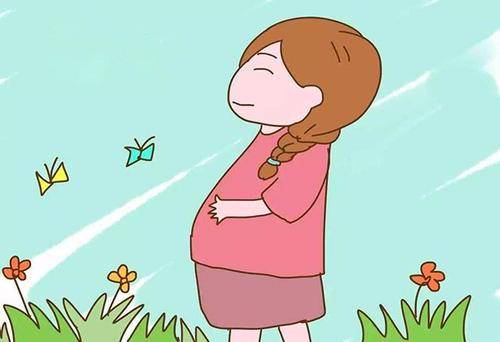 泽连斯基拒撤离