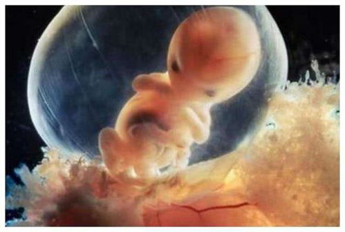 暗黑者电视剧(暗黑者电视剧演员表)