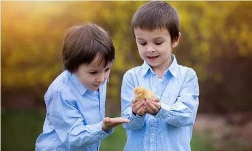 美国婴儿三代试管婴儿步骤是什么呢