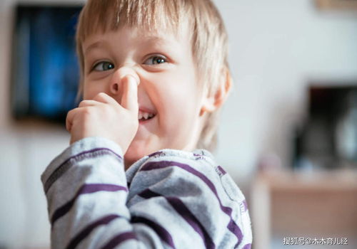 2025年在泰国做试管婴儿多少钱