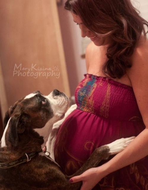 上海遂真投资管理有限公司