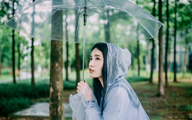 试管婴儿成功率 44岁高圆圆终于助孕成功 