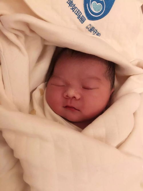 遗失的世界之者