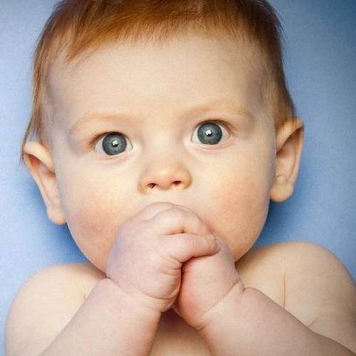 域名国家工程研究中心