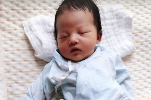 长隆水上乐园官网 长隆水上乐园官网