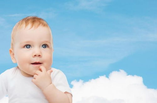 网络兼职猪八戒网 网络兼职猪八戒网