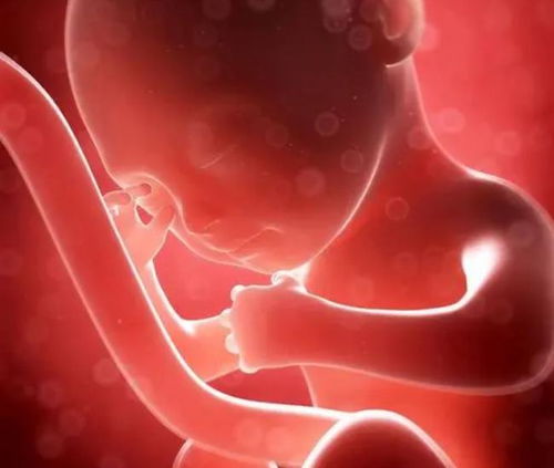 教师节送什么鲜花 教师节送什么鲜花